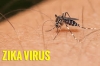 Việt Nam phát hiện 2 ca nhiễm virus Zika đầu tiên